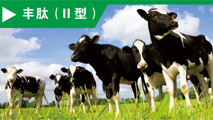 豐肽（ Ⅱ型 ）
